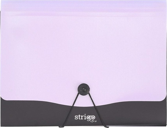 Picture of Teczka Vfile A4 z 13 przekadkami liliowa STRIGO