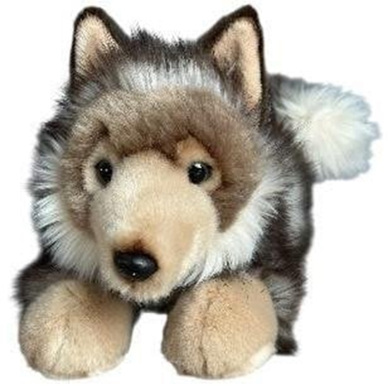 Picture of Wilk lecy 30cm