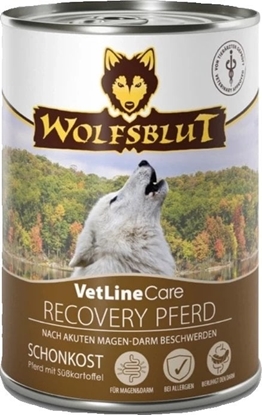Изображение Wolfsblut Dog VetLine Care Recovery Horse - konina puszka 395g
