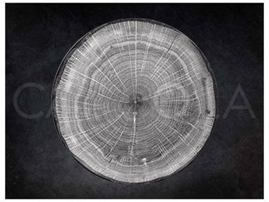 Picture of Woodart talerz paski szary 29 cm