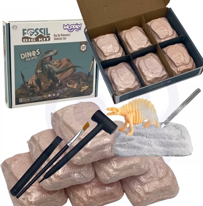 Picture of WOOPIE Wykopalisko 6w1 Dinozaur Szkielet May Archeolog 6 szt.