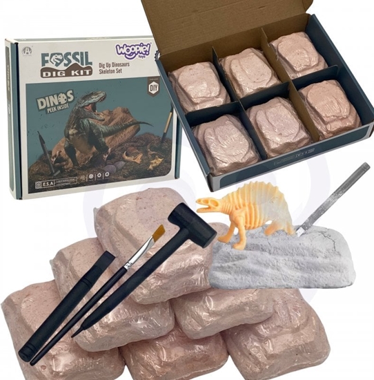 Изображение WOOPIE Wykopalisko 6w1 Dinozaur Szkielet May Archeolog 6 szt.