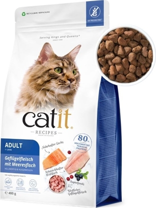 Picture of Catit Sucha karma dla kota Catit Recipies Adult Fish z drobiem i ryb 400g