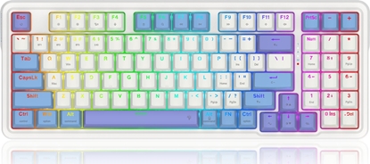 Picture of Klawiatura Redragon Gloria Pro Bumblebee (K664WBP-RGB-PRO)