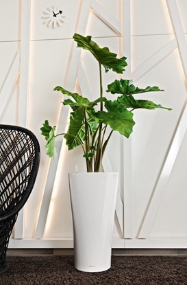 Picture of Lechuza Vazonas Delta 40, v. spalv