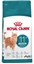 Изображение Royal Canin Ageing +11 Sterilised karma sucha dla kotów dojrzaych, sterylizowanych 2kg