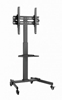 Изображение TV stiprinājums Gembird 32" - 55" TV floor stand with caster wheels