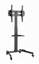 Attēls no TV stiprinājums Gembird 32" - 55" TV floor stand with caster wheels