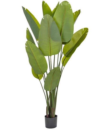 Изображение Beliani Sztuczna rolina doniczkowa 187 cm BANANA TREE