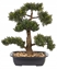 Picture of Beliani Sztuczna rolina doniczkowa 44 cm PINE