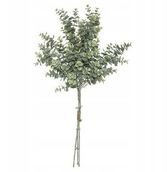 Picture of EUCALYPTUS BOUQUET H64