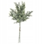 Picture of EUCALYPTUS BOUQUET H64