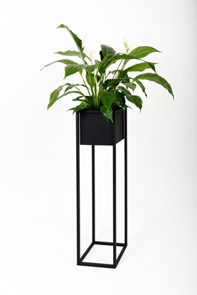 Изображение FLOWER POT COVER NANTES L BLACK 23X23X90