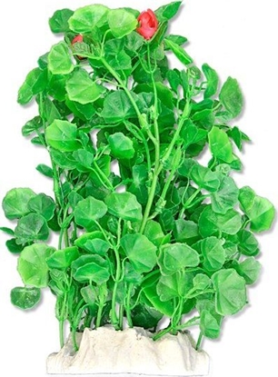 Attēls no Happet HAPPET ROLINA FOLIA 20CM / 2F21