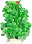 Picture of Happet HAPPET ROLINA FOLIA 20CM / 2F21