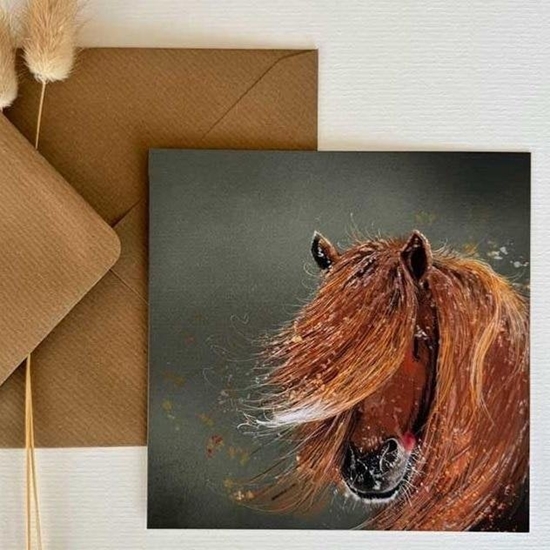 Picture of Karnet AC875 Ko