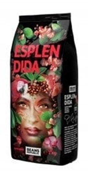 Изображение Kawa ziarnista Beans Republic Esplendida 1kg