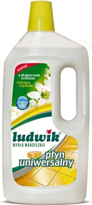 Picture of Ludwik Pyn uniwersalny z mydem marsylskim 1L