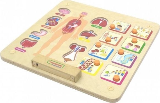 Picture of Masterkidz Tablica Edukacyjna Ukad Ciaa Ludzkiego