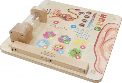 Picture of Masterkidz Tablica Edukacyjna Zmys Suchu