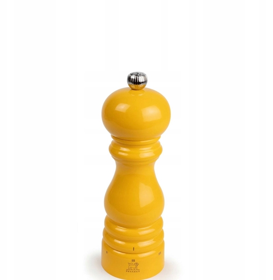 Picture of PARISRAMA Mynek do soli 18 cm Saffron Yellow