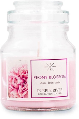 Picture of Peony Blossom Duftkerze - 113g