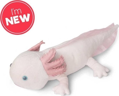 Picture of Pluszowy Axolotl