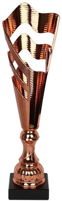 Attēls no Puchar Tryumf