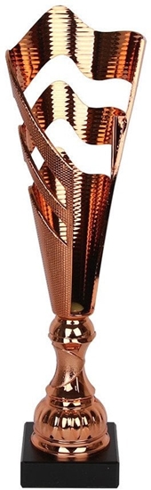 Изображение Puchar Tryumf