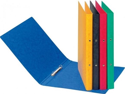 Picture of Segregator Pagna 2-ringowy A4 16mm zielony (44096-03)