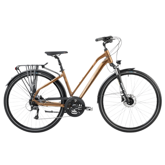 Изображение Sieviešu velosipēds ROMET Gazela 6, brūns-melns (M)