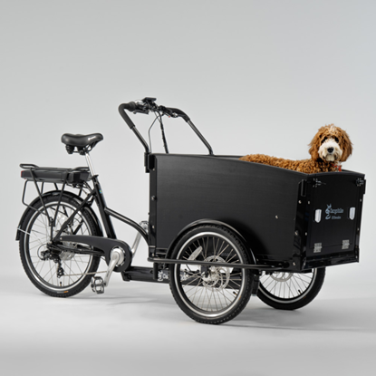 Picture of SWEDEN Classic Dog elektriskais velosipēds CARGOBIKE