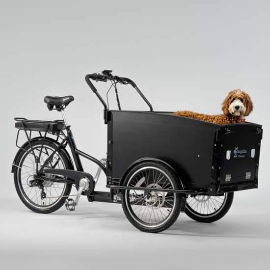 Picture of SWEDEN Classic Dog elektriskais velosipēds CARGOBIKE
