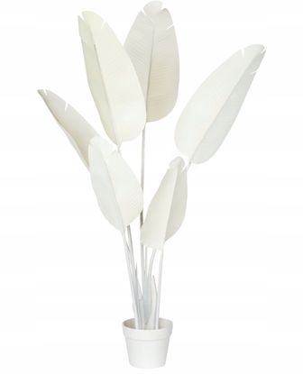 Изображение Sztuczna rolina BANANA TREE 123 cm Biay