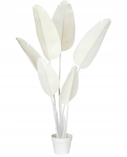 Изображение Sztuczna rolina BANANA TREE 123 cm Biay