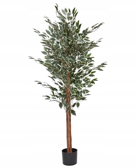 Изображение Sztuczna rolina doniczkowa 167 cm FICUS TREE