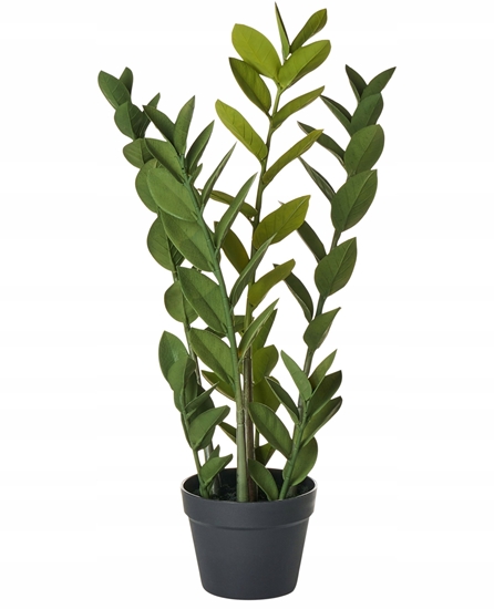 Picture of Sztuczna rolina ZAMIIFOLIA 76 cm Zielony