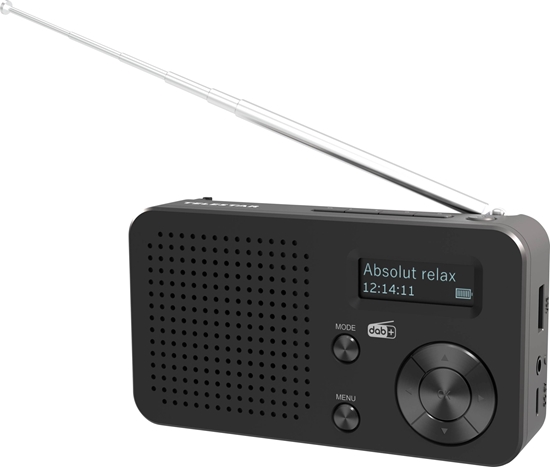 Picture of TELESTAR TOP 100 Schwarz DAB+Radios Portable Radio