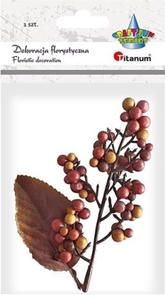 Picture of Titanum Ki jagód z liciem mix 1szt