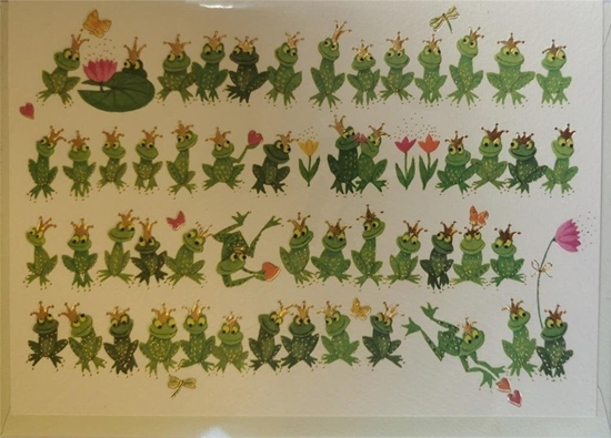 Picture of Turnowsky Karnet B6 + koperta MO3503 abki