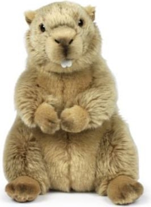 Picture of WWF wistak, 23 cm (282203)