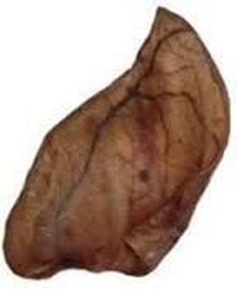 Attēls no Artex Uszy wieprzowe 25szt.