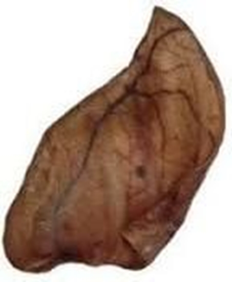 Picture of Artex Uszy wieprzowe 25szt.