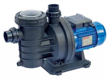 Attēls no Baseina sūknis SWIMM