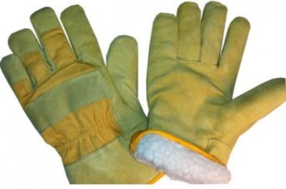 Attēls no Cimdi ziemas zamšādas POLARS ar Teddy bear vilnu