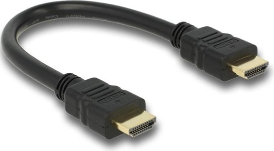 Изображение Delock Cable High Speed HDMI with Ethernet – HDMI A male > HDMI A male 4K 25 cm