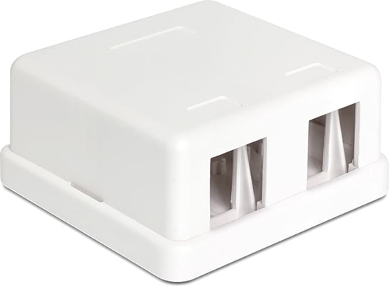 Изображение Delock Keystone Surface Mounted Box 2 Port