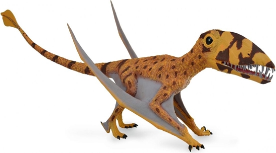 Изображение Figurka Collecta Dinozaur Dimorphodon z ruchom szczk (004-88798)