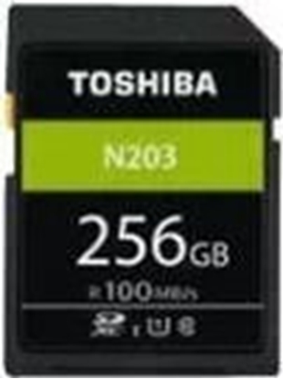 Picture of Karta Toshiba N203 SDXC 256 GB Class 10 UHS-I/U1  (THN-N203N2560E4)