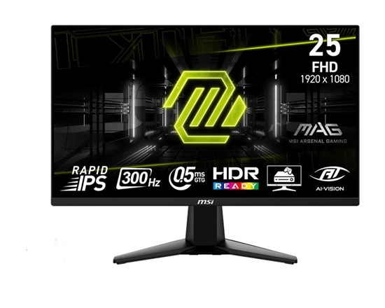 Picture of LCD Monitor|MSI|24.5 "|1920x1080 pixels|Full HD|Native aspect ratio 16:9|LCD|Flat|MAG255XF